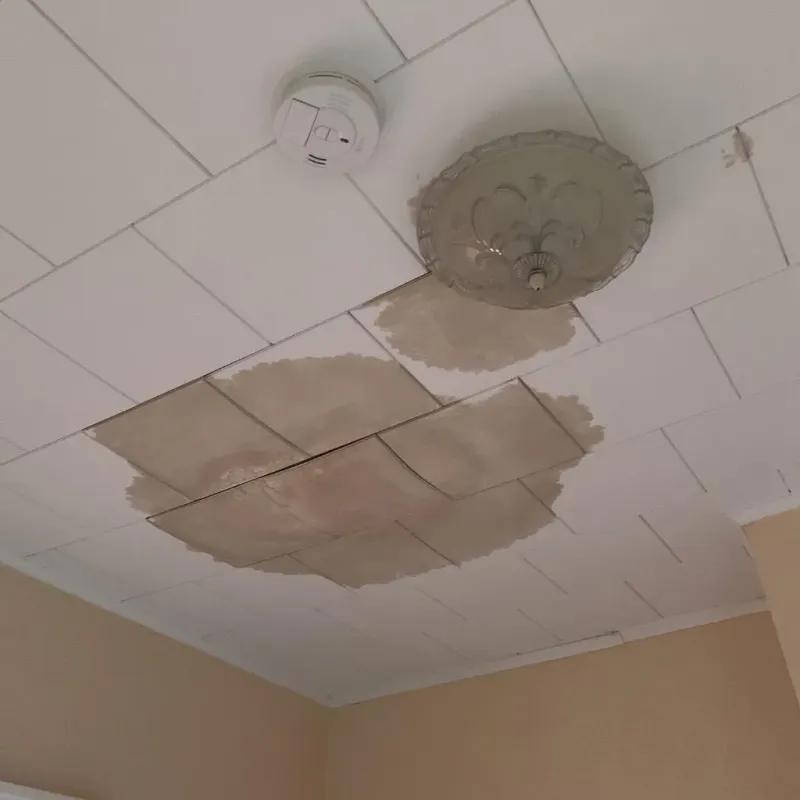 Ceiling Water Damage Repair in Concord, NH