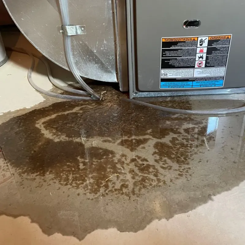 Pipe Burst and Leak Restoration in Concord, NH